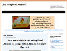 Tablet Screenshot of caramengobatiamandel.com